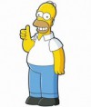 /album/fotogaleria/simpsonovci-homer2-fox-jpg/